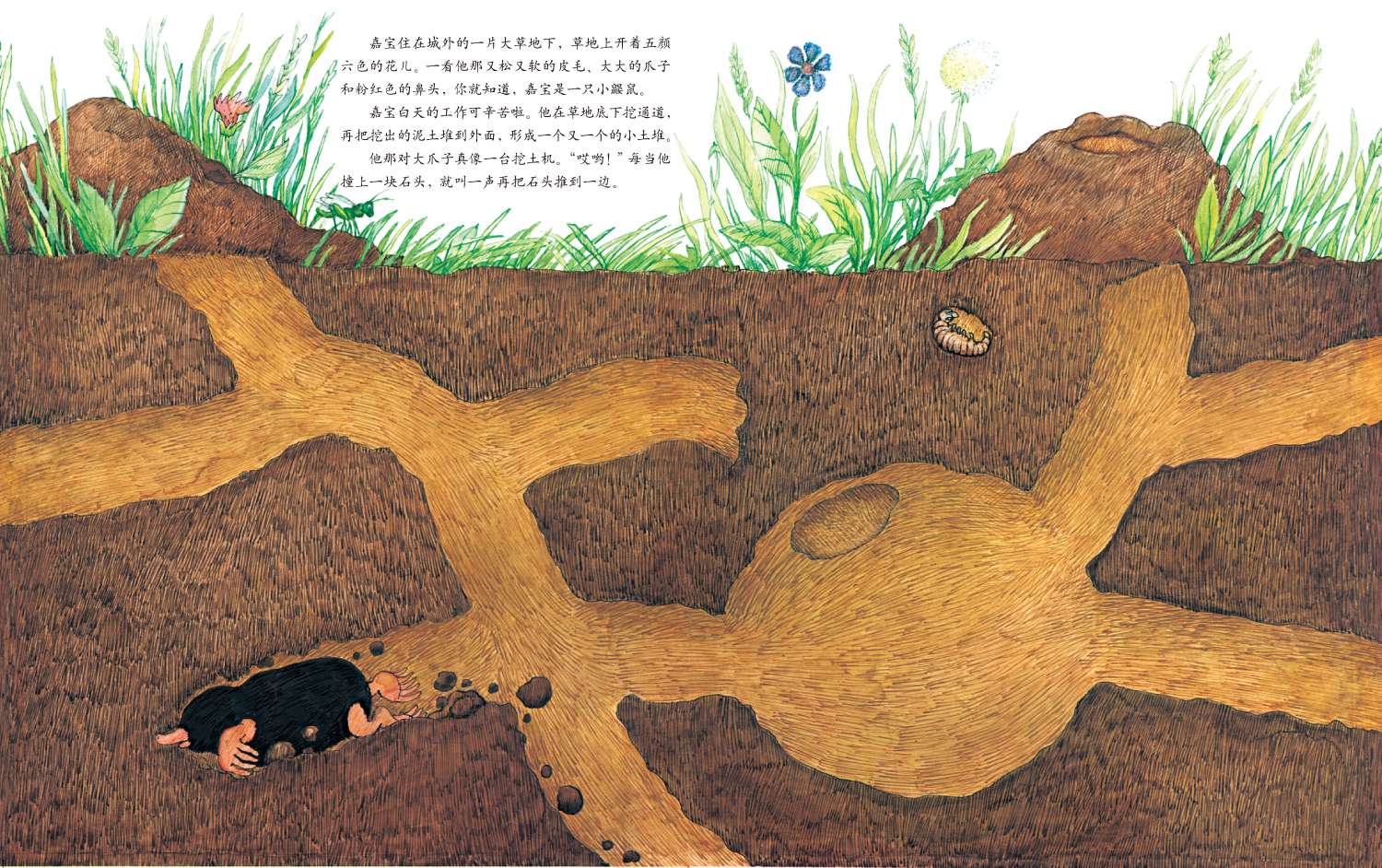 小鼹鼠嘉宝 (04),绘本,绘本故事,绘本阅读,故事书,童书,图画书,课外阅读